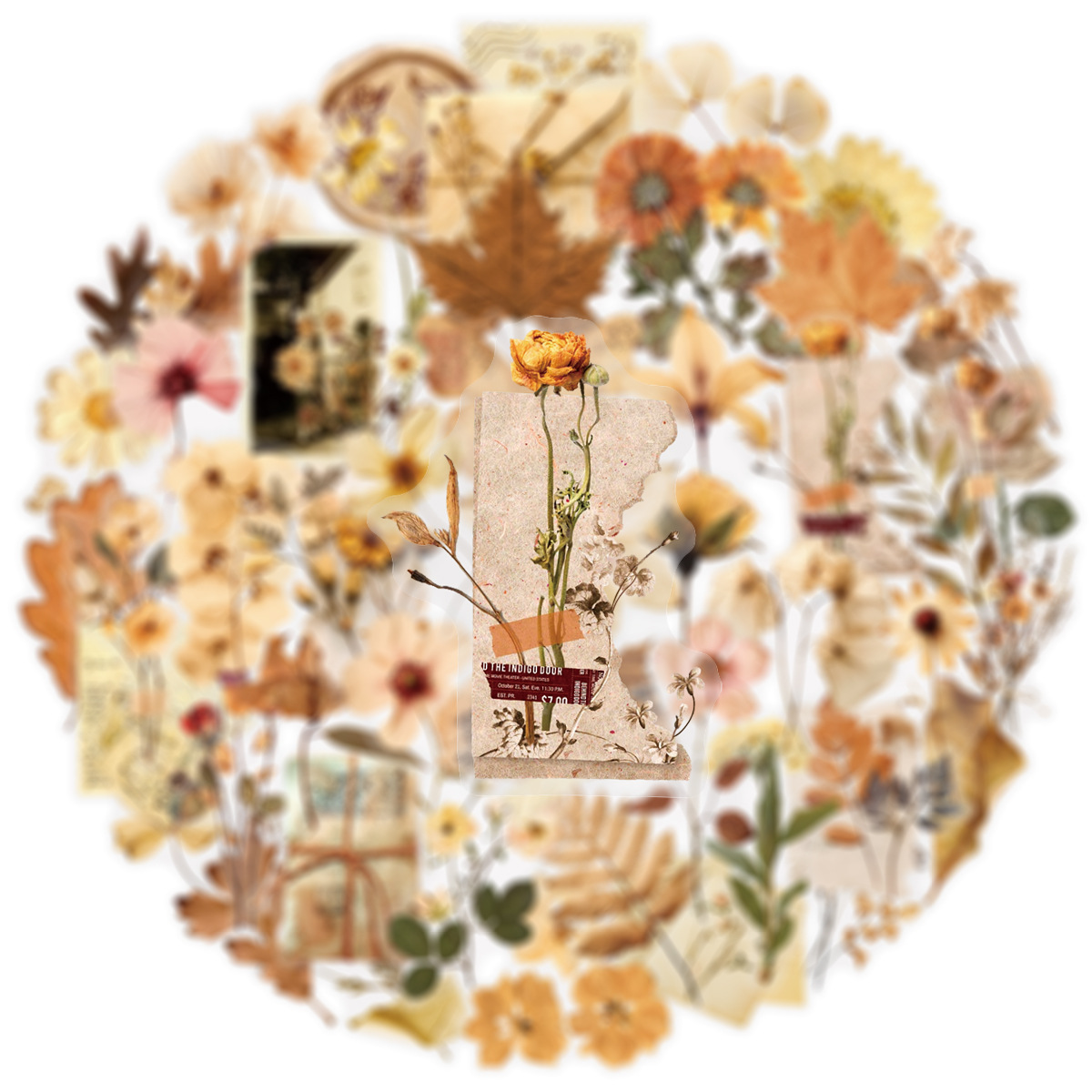 50 Adet Şeffaf Kurutulmuş Çiçe - Dried Flower Bulk incelemesi ve fiyatı
